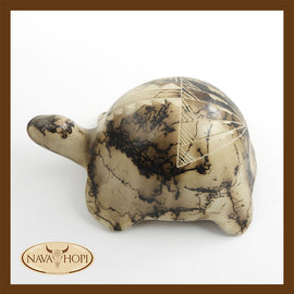 Schildkröte Rosshair